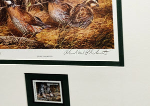 Richard Plasschaert 1983 Quail Unlimited Stamp Print With Stamp - Brand New Super Custom Sporting Frame