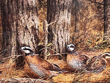 Load image into Gallery viewer, Richard Plasschaert - 1983 Quail Unlimited Stamp Print With Stamp - Brand New Custom Sporting Frame