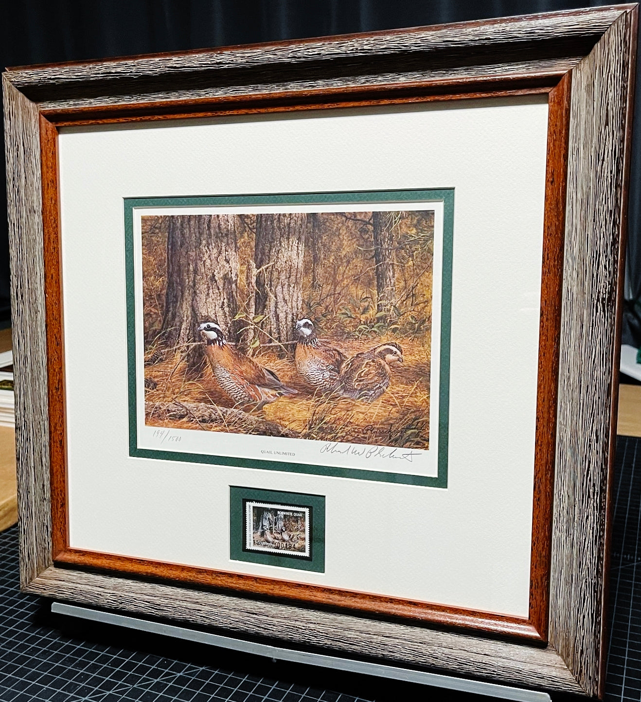 Richard Plasschaert - 1983 Quail Unlimited Stamp Print With Stamp - Brand New Custom Sporting Frame