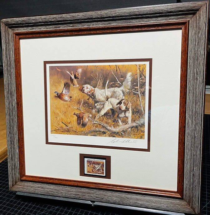 Robert Abbett 1985 International Quail Foundation Quail Research Stamp Print With Stamp - Brand New Super Custom Sporting Frame