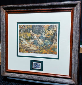 Robert Abbett - 1982 The Ruffed Grouse Society Conservation Stamp Print With Stamp - Brand New Custom Sporting Frame