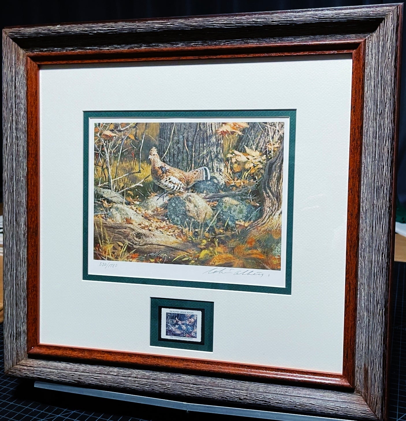 Robert Abbett - 1982 The Ruffed Grouse Society Conservation Stamp Print With Stamp - Brand New Custom Sporting Frame