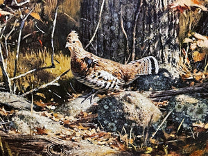 Robert Abbett - 1982 The Ruffed Grouse Society Conservation Stamp Print With Stamp - Brand New Custom Sporting Frame