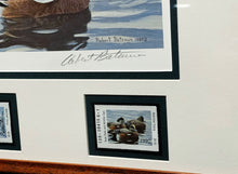Load image into Gallery viewer, Robert Bateman - 1990 Texas Waterfowl Duck Stamp Print With Double Stamps - Brand New Custom Sporting Frame