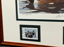 Load image into Gallery viewer, Robert Bateman 1990 Texas Waterfowl Duck Stamp Print With Double Stamps - Brand New Super Custom Sporting Frame