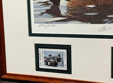 Load image into Gallery viewer, Robert Bateman  1990 Texas Waterfowl Duck Stamp Print With Double Stamps - Brand New Custom Sporting Frame