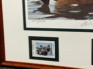Robert Bateman 1990 Texas Waterfowl Duck Stamp Print With Double Stamps - Brand New Super Custom Sporting Frame