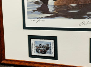 Robert Bateman  1990 Texas Waterfowl Duck Stamp Print With Double Stamps - Brand New Custom Sporting Frame
