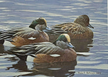 Load image into Gallery viewer, Robert Bateman 1990 Texas Waterfowl Duck Stamp Print With Double Stamps - Brand New Super Custom Sporting Frame