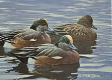Load image into Gallery viewer, Robert Bateman  1990 Texas Waterfowl Duck Stamp Print With Double Stamps - Brand New Custom Sporting Frame