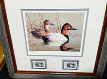 Load image into Gallery viewer, Robert Hautman  1999 Texas Waterfowl Stamp Print With Double Stamps - Brand New Super Custom Sporting Frame