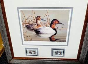 Robert Hautman  1999 Texas Waterfowl Stamp Print With Double Stamps - Brand New Super Custom Sporting Frame