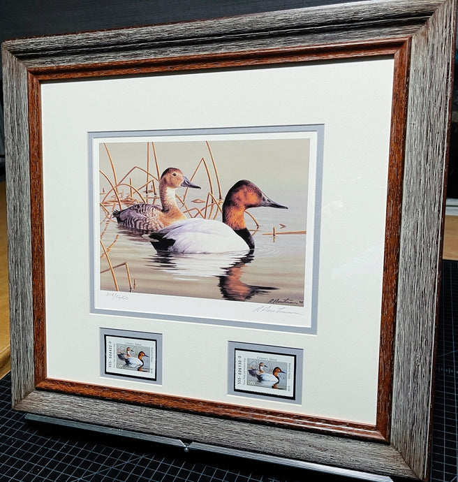 Robert Hautman  1999 Texas Waterfowl Stamp Print With Double Stamps - Brand New Super Custom Sporting Frame