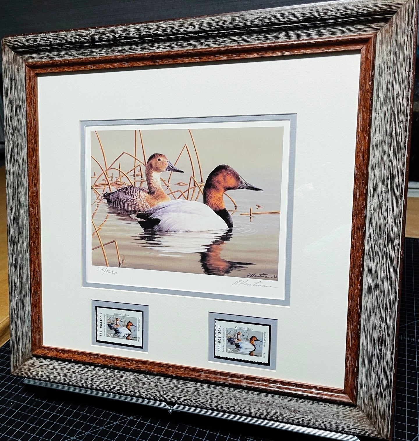 Robert Hautman - 1999 Texas Waterfowl Stamp Print With Double Stamps - Brand New Custom Sporting Frame