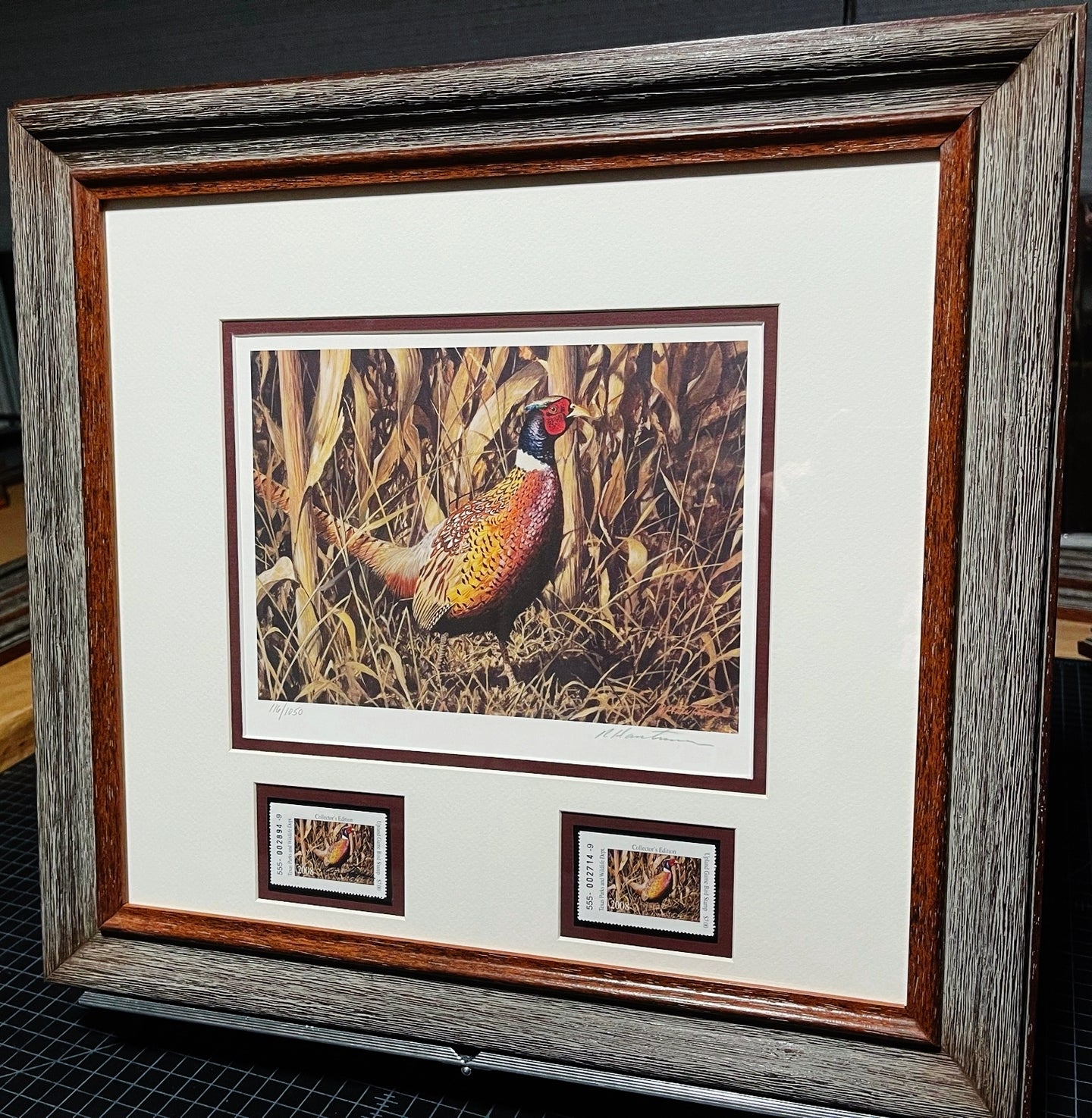 Robert Hautman - 2008 Texas Texas Upland Game Bird Stamp Stamp Print With Double Stamps - Brand New Custom Sporting Frame