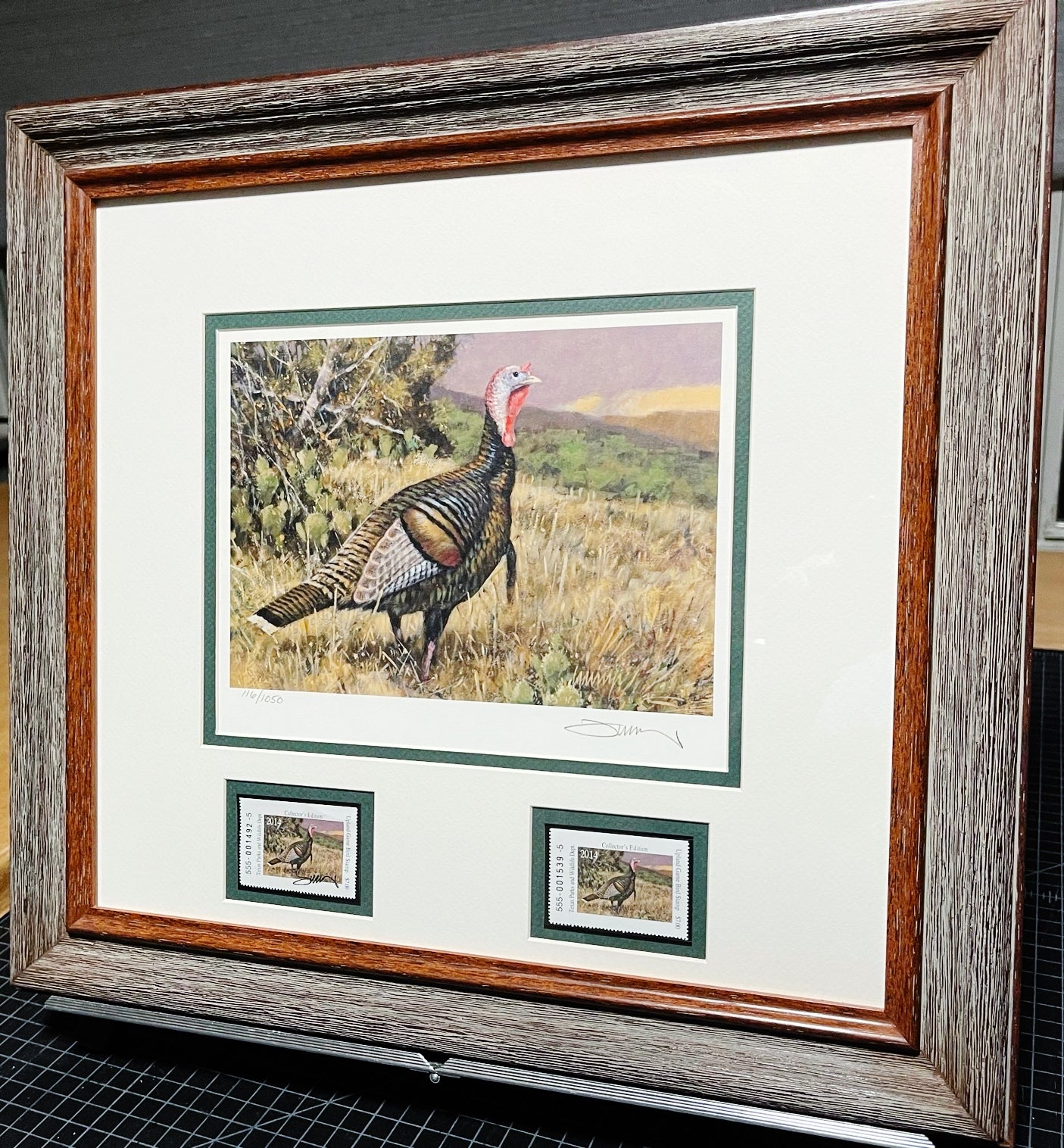 Roger Cruwys 2014 Texas Texas Upland Game Bird Stamp Print With Double Stamps - Brand New Custom Sporting Frame