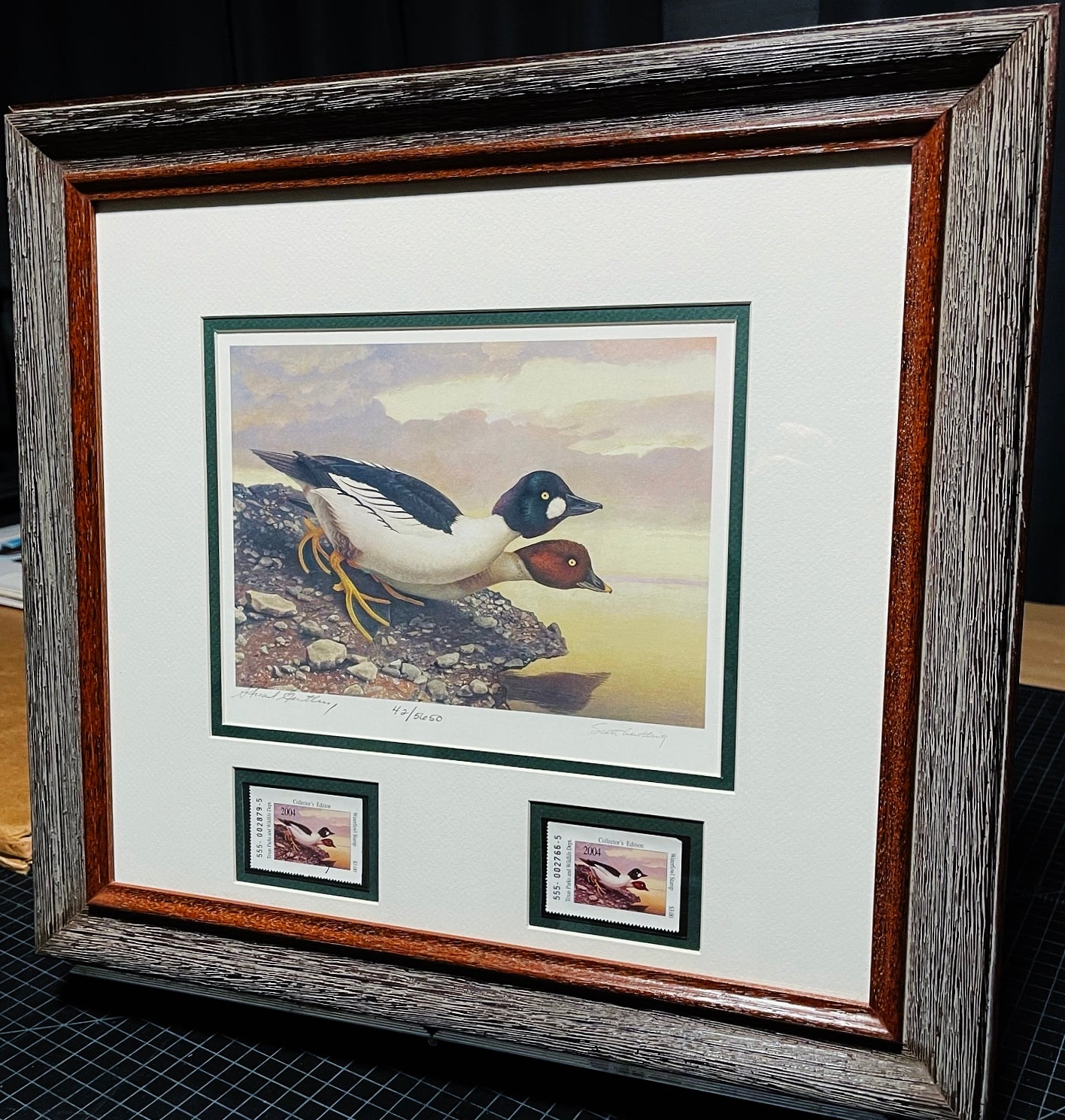 Scott & Stuart Gentling 2004 Texas Texas Waterfowl Stamp Print With Double Stamps - Brand New Custom Sporting Frame