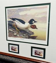 Load image into Gallery viewer, Scott &amp; Stuart Gentling - 2004 Texas Texas Waterfowl Stamp Print With Double Stamps - Brand New Custom Sporting Frame
