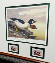 Load image into Gallery viewer, Scott &amp; Stuart Gentling 2004 Texas Texas Waterfowl Stamp Print With Double Stamps - Brand New Custom Sporting Frame
