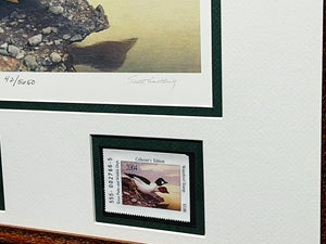 Scott & Stuart Gentling 2004 Texas Texas Waterfowl Stamp Print With Double Stamps - Brand New Custom Sporting Frame