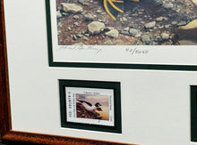 Load image into Gallery viewer, Scott &amp; Stuart Gentling - 2004 Texas Texas Waterfowl Stamp Print With Double Stamps - Brand New Custom Sporting Frame