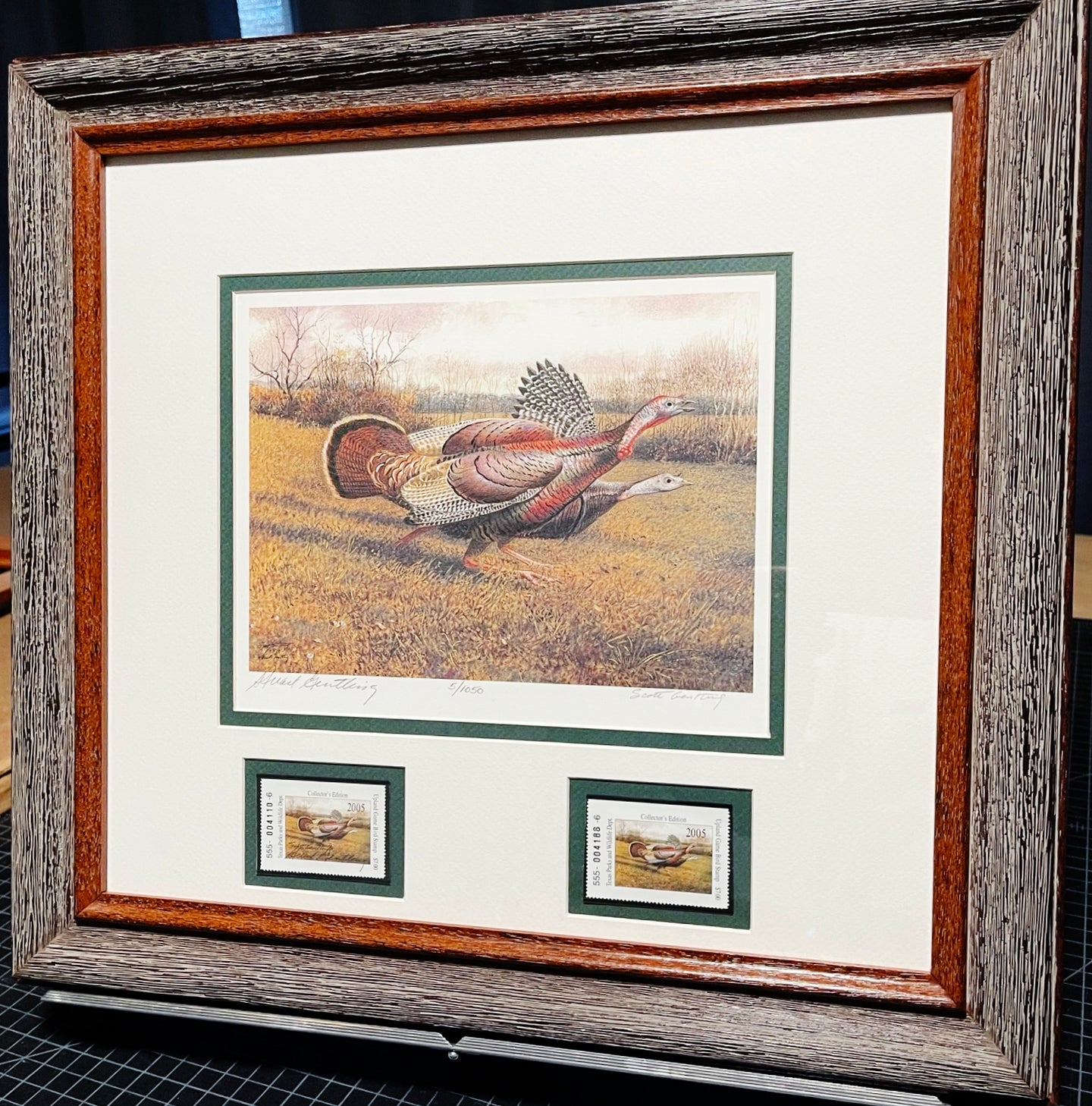 Scott & Stuart Gentling - 2005 Texas Upland Game Stamp Print With Double Stamps - Brand New Custom Sporting Frame