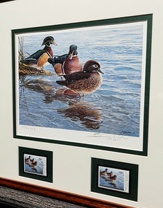 Seerey Lester - 1989 National Fish and Wildlife Foundation Duck Stamp Print With Double Stamps - Brand New Custom Sporting Frame