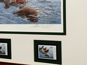 Seerey Lester - 1989 National Fish and Wildlife Foundation Duck Stamp Print With Double Stamps - Brand New Custom Sporting Frame