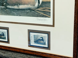 Sherrie Russell Meline - 2000 Texas Waterfowl Stamp Print With Double Stamps - Brand New Custom Sporting Frame