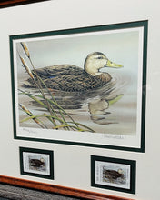 Load image into Gallery viewer, Sherrie Russell Meline  2003 Texas Waterfowl Stamp Print W Double Stamps - Brand New Custom Sporting Frame