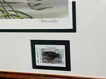Load image into Gallery viewer, Sherrie Russell Meline - 2003 Texas Waterfowl Stamp Print W Double Stamps - Brand New Custom Sporting Frame