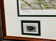 Load image into Gallery viewer, Sherrie Russell Meline - 2003 Texas Waterfowl Stamp Print W Double Stamps - Brand New Custom Sporting Frame