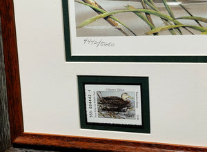 Sherrie Russell Meline - 2003 Texas Waterfowl Stamp Print W Double Stamps - Brand New Custom Sporting Frame