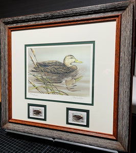 Sherrie Russell Meline - 2003 Texas Waterfowl Stamp Print W Double Stamps - Brand New Custom Sporting Frame