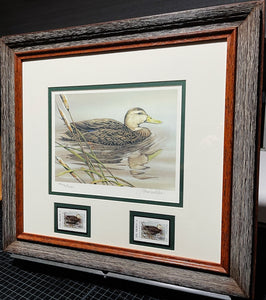 Sherrie Russell Meline  2003 Texas Waterfowl Stamp Print W Double Stamps - Brand New Custom Sporting Frame