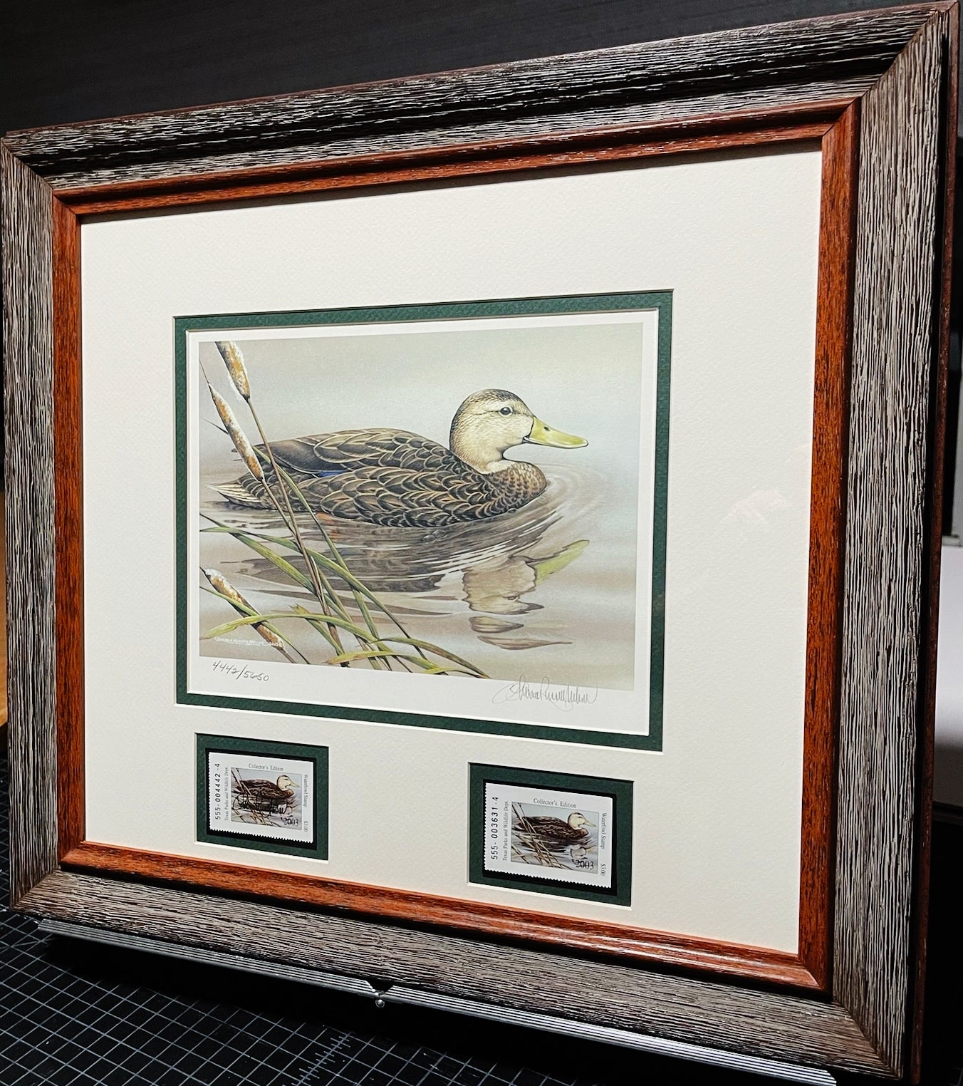 Sherrie Russell Meline - 2003 Texas Waterfowl Stamp Print W Double Stamps - Brand New Custom Sporting Frame