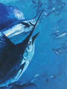Stanley Meltzoff 1988 Coastal Conservation Association CCA Stamp Print With Stamp - Brand New Super Custom Sporting Frame