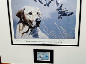Thompson Crowe 1986 National Waterfowl Conservation Duck Stamp Print With Stamp - Brand New Custom Sporting Frame