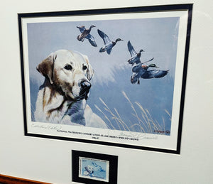 Thompson Crowe 1986 National Waterfowl Conservation Duck Stamp Print With Stamp - Brand New Custom Sporting Frame