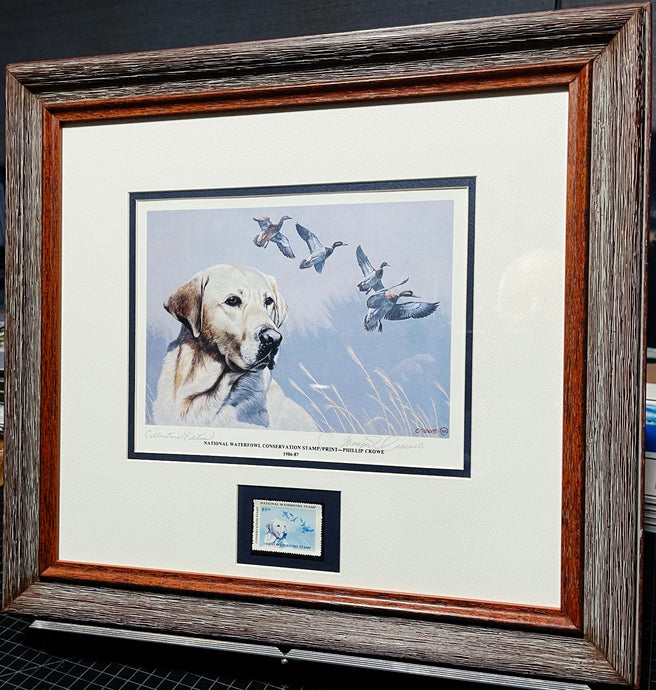 Thompson Crowe 1986 National Waterfowl Conservation Duck Stamp Print With Stamp - Brand New Super Custom Sporting Frame