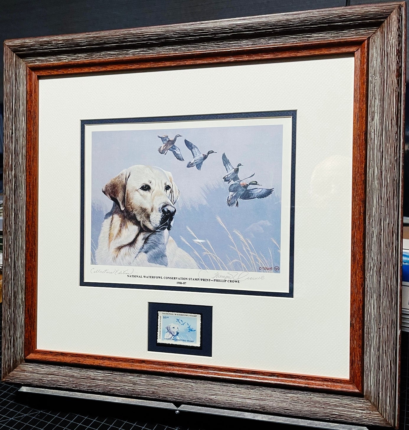Thompson Crowe - 1986 National Waterfowl Conservation Duck Stamp Print With Stamp - Brand New Custom Sporting Frame