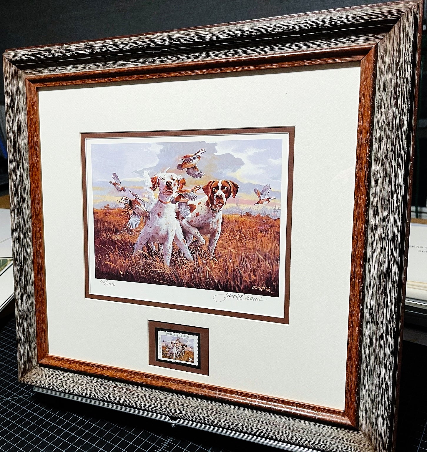Thompson Crowe 1999 Texas Quail Stamp Print With Stamp - Brand New Super Custom Sporting Frame