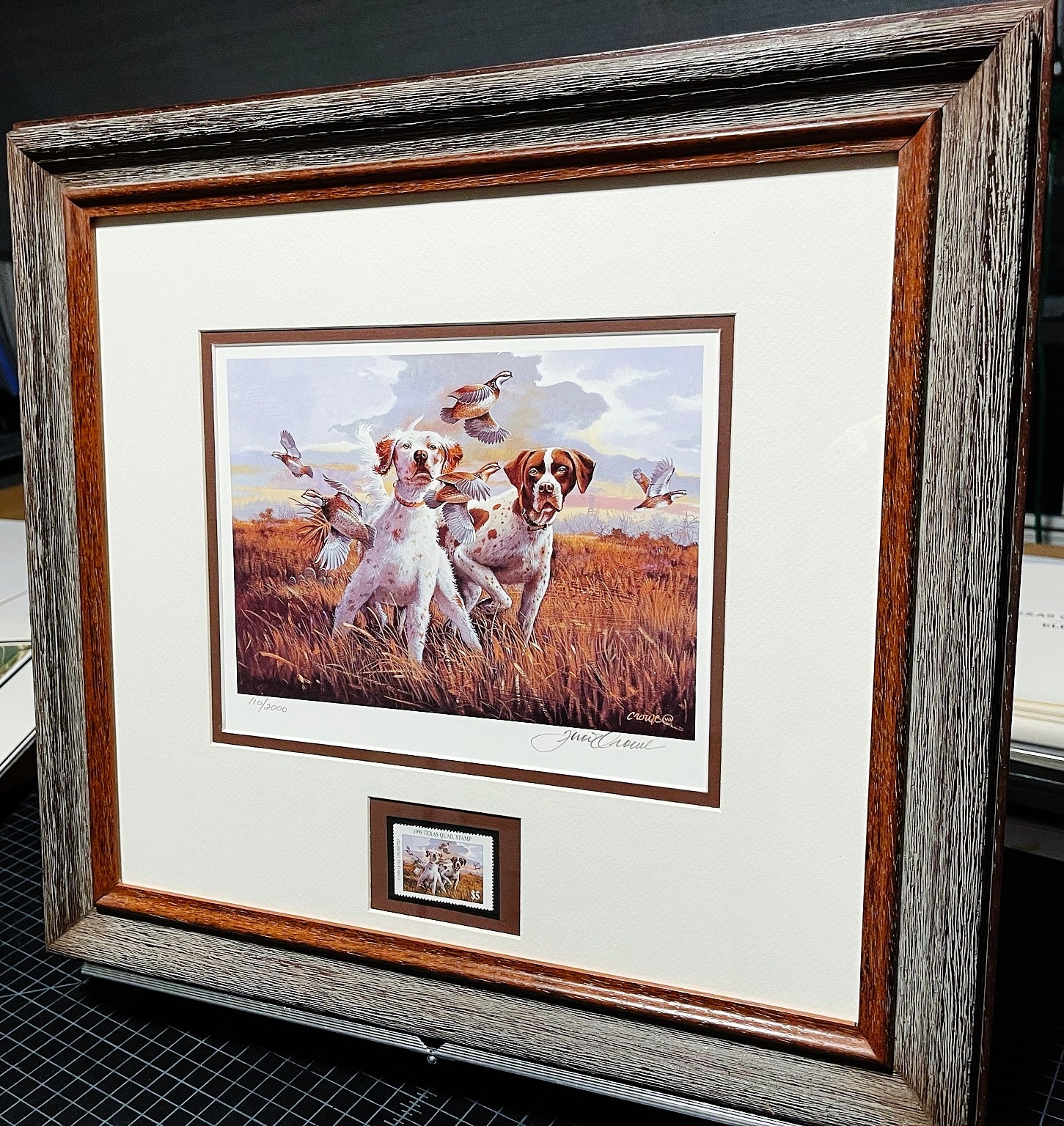 Thompson Crowe 1999 Texas Quail Stamp Print With Stamp - Brand New Custom Sporting Frame
