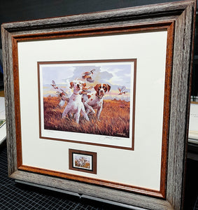Thompson Crowe 1999 Texas Quail Stamp Print With Stamp - Brand New Super Custom Sporting Frame
