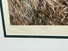 Load image into Gallery viewer, William Hollywood - Pintails - Lithograph - Brand New Custom Sporting Frame