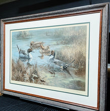 Load image into Gallery viewer, William Hollywood - Pintails - Lithograph - Brand New Custom Sporting Frame