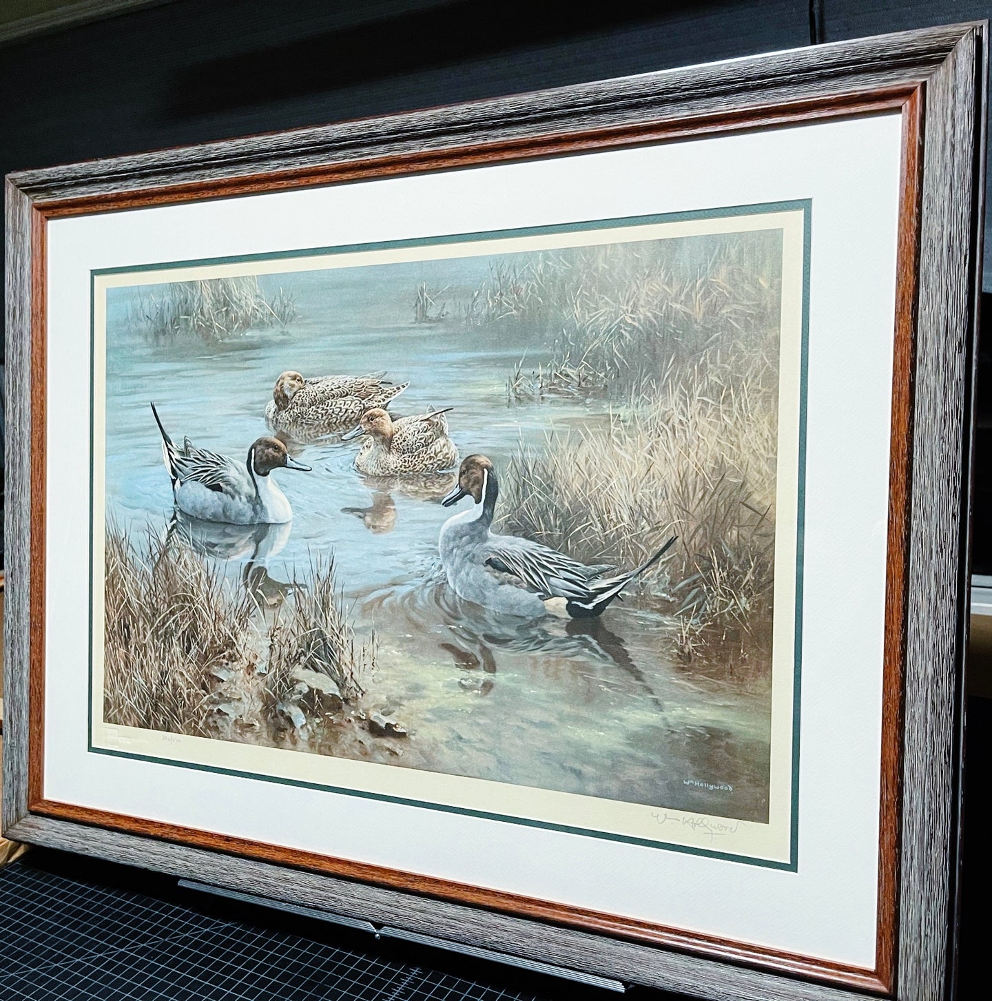 William Hollywood - Pintails - Lithograph - Brand New Custom Sporting Frame