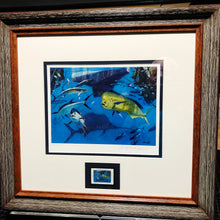Load image into Gallery viewer, Al Barnes - 2008 Coastal Conservation Association CCA Stamp Print With Stamp - Brand New Custom Sporting Frame