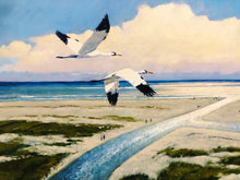 Load image into Gallery viewer, Al Barnes - Cedar Bayou - Full Sheet GiClee - Brand New Custom Sporting Frame