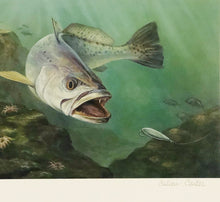 Load image into Gallery viewer, Calvin Carter 2015 CCA Coastal Conservation Association Stamp Print With Stamp - Brand New Custom Sporting Frame